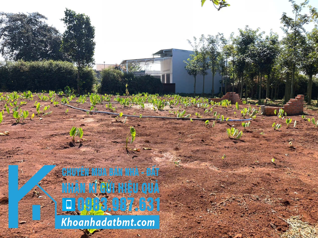 💥Đất TC Full 5*21,8m hẻm Nguyễn Đình Chiểu nối dài,gần Dự Án Trung Nguyên,có nhiều lô khác - Hình ảnh 3