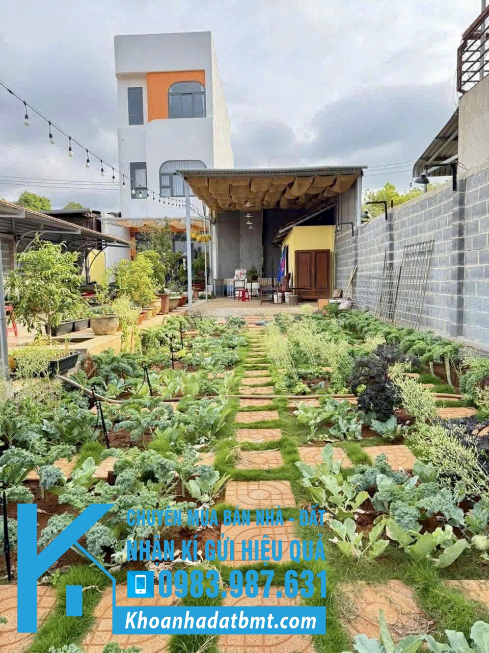 💎Lô TC 5x50m( nở hậu 5,2m) mặt tiền đường PHAN BỘI CHÂU, gần đường Mai Xuân Thưởng, kinh doanh tốt - Hình ảnh 3