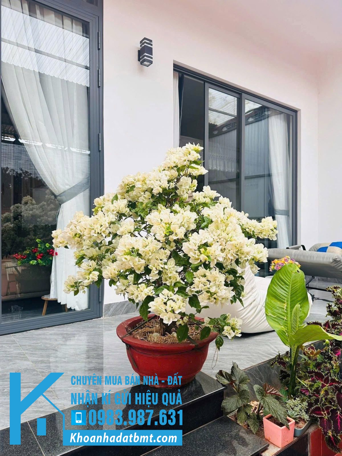 💎 Nhà Vườn 760m2 trục chính Tỉnh Lộ 8 đi vào 100m, Cưsue - gần Hà Huy Tập - Hình ảnh 7