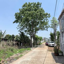 💎Lô TC100% 20x25m hẻm cấp 1 đường Nguyễn Thị Định, gần Y Ngông , phường Thành Nhất- T