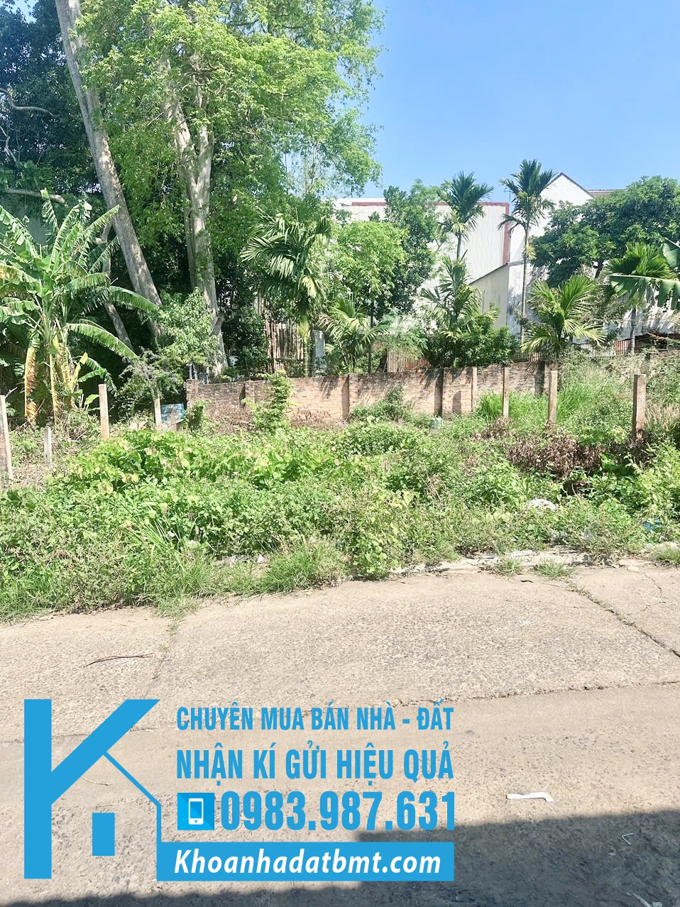 💎 Lô TC 9,4x14,2m đường B1 - Phạm Ngũ Lão- Thôn 1 , ngay trung tâm - Hình ảnh 3