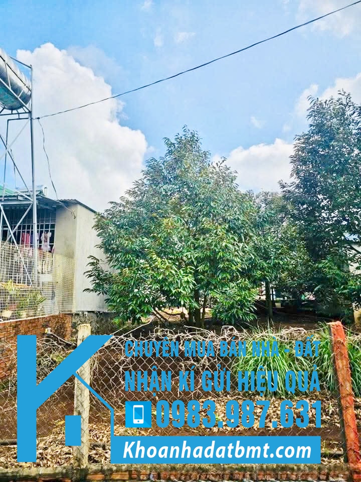 💎 Lô TC 5x16m, giá 750tr hẻm Hà Huy Tập , TDP 9 gần cụm công nghiệp Tân An , bv đại học Y Dược BMT - Hình ảnh 2