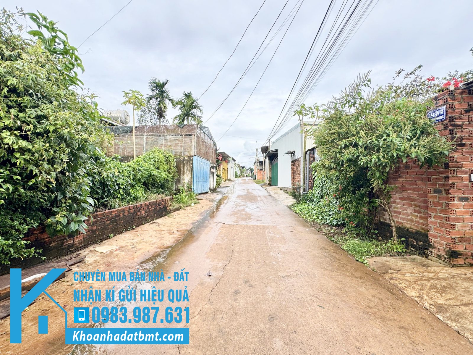 💎 Lô TC 5x22m hẻm 184 Giải Phóng , gần trường Hoàng Việt- PC - Hình ảnh 4