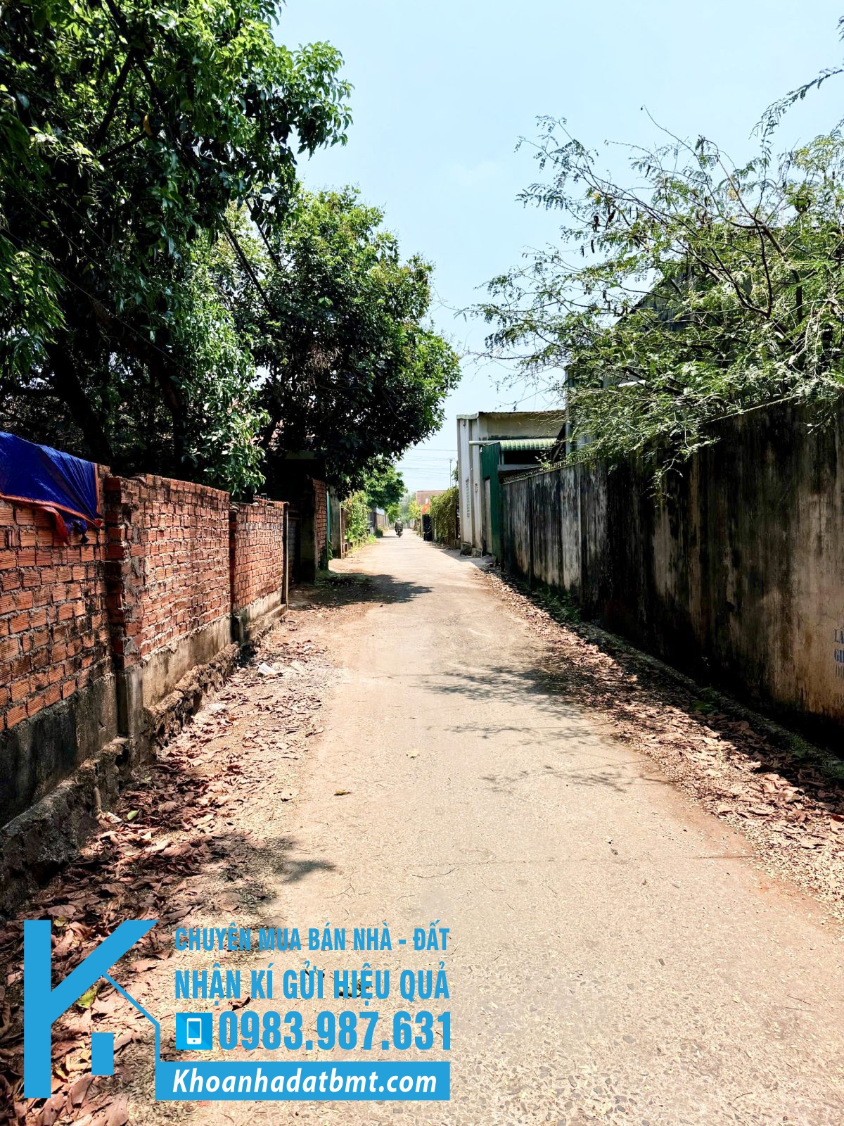 💎 Lô TC 5x16m hẻm đường B Phạm Ngũ Lão thôn 2 , chưa qua vành đai - Hình ảnh 4