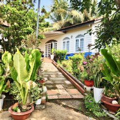 💎 Tổng 9,7 sào 91m mặt tiền có nhà nhà vườn nghỉ dưỡng, hẻm Phan Huy Chú - Hoà Phú