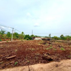💥Đất Nông Nghiệp 1,8 sào đường K Phạm Ngũ Lão Thôn 3