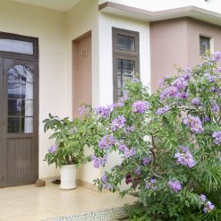 💎 Nhà TC 12x34m hẻm Đinh Tiên Hoàng , gần đường Võ Nguyên Giáp