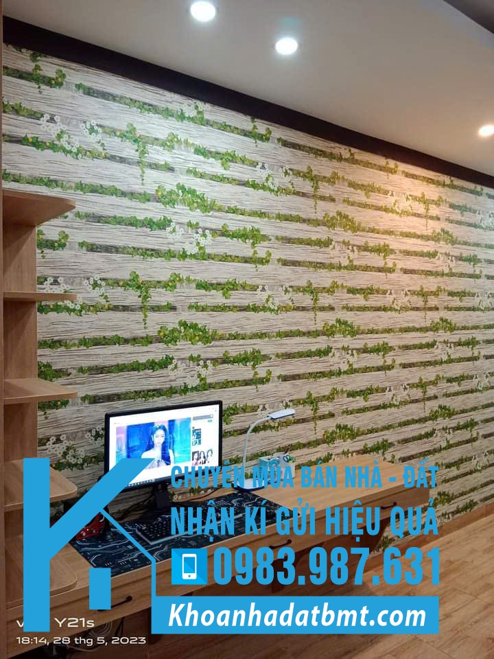Nhà Mê Lửng,TC 5*20m,hẻm Y ngông,nhiều lô khác - Hình ảnh 5