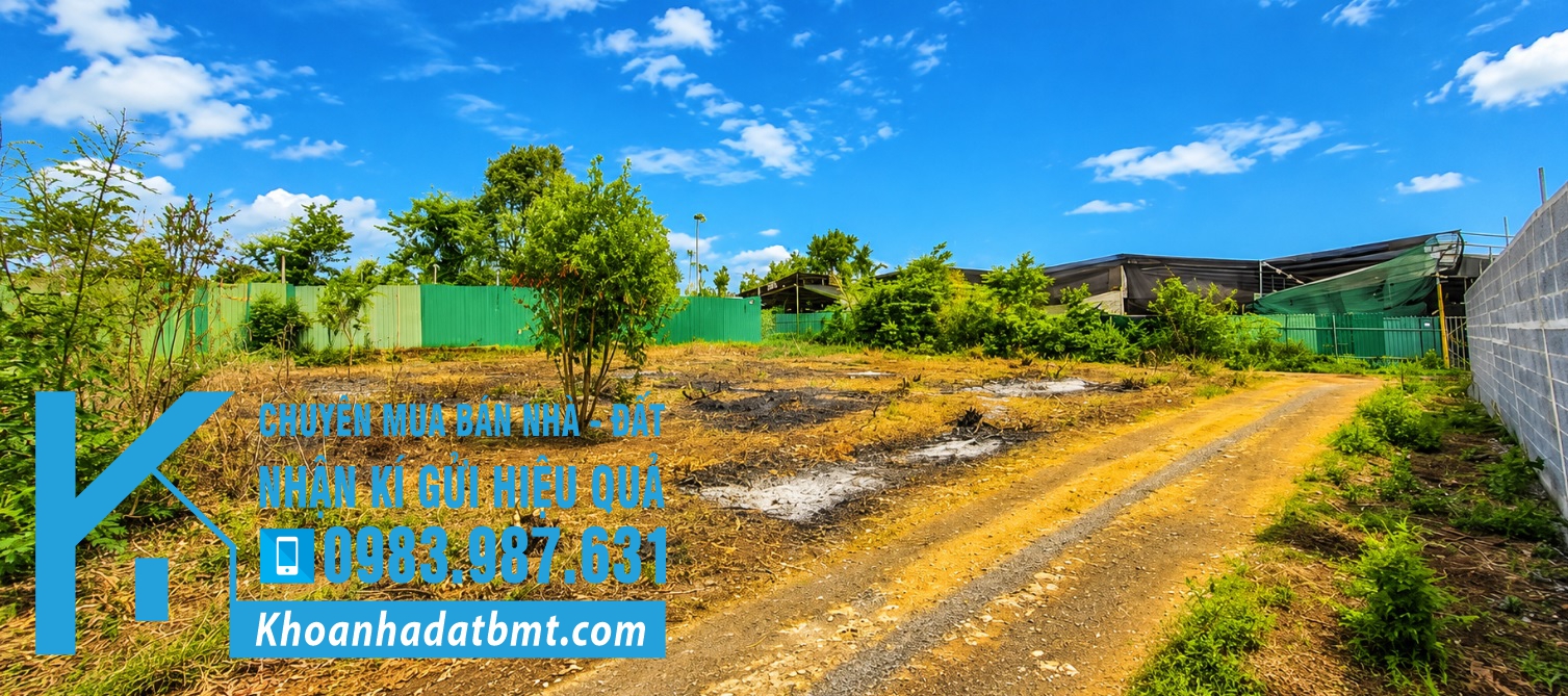 💥Đất 2 mặt tiền 20*32m,hẻm Đường Giải Phóng Cũ Thông Nguyễn Đình Chiểu,gần Phạm Ngũ Lão - Hình ảnh 3