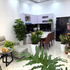 💎 Nhà mê mới TC 5,46x13m hẻm 53 Trần Quý Cáp, gần bệnh viện Vùng