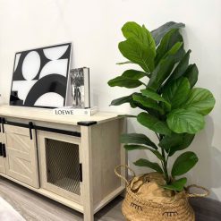 Nhà Cấp 4,Tổng 46,7m2 ,Hẻm Trương Công Định,nhiều lô khác
