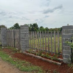 💥Đất 2 mặt tiền 12,5*90,5m,Tổng gần 1,2 sào,View Lúa,hẻm Tỉnh Lộ 5 đầu thôn 5 ,phạm ngũ lão,nhiều lô khác