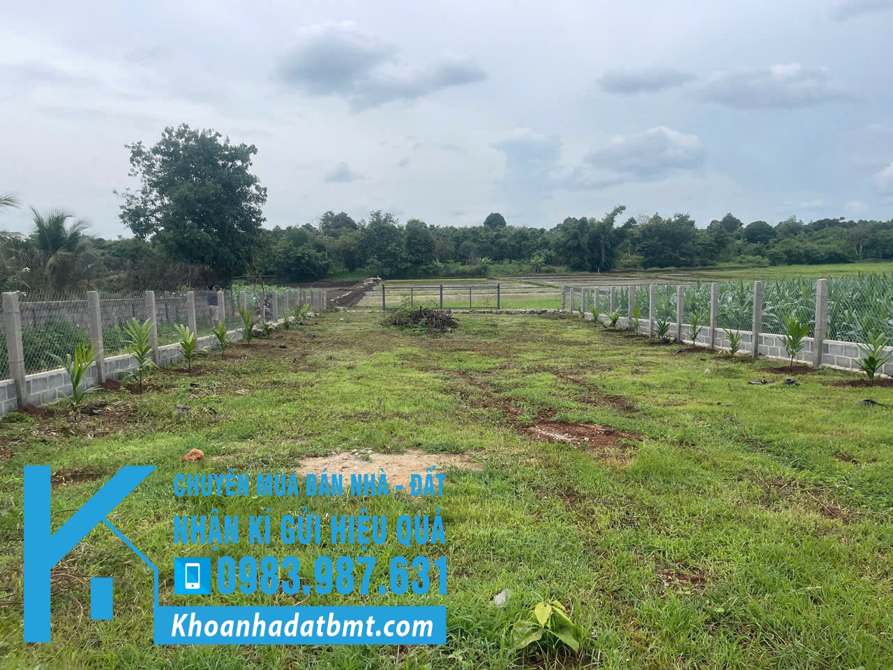 💥Đất 2 mặt tiền 12,5*90,5m,Tổng gần 1,2 sào,View Lúa,hẻm Tỉnh Lộ 5 đầu thôn 5 ,phạm ngũ lão,nhiều lô khác - Hình ảnh 4