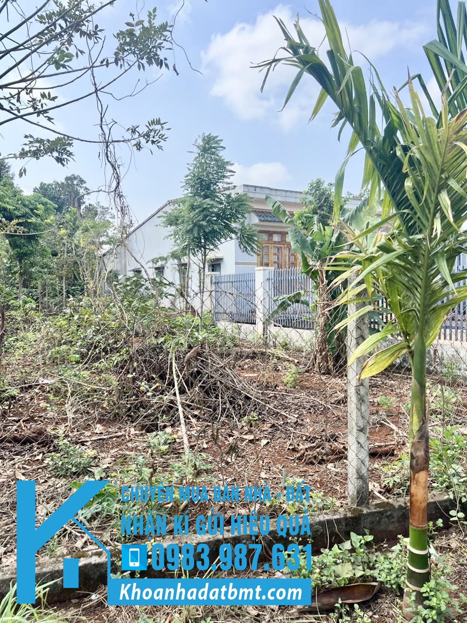 💎 Lô TC 5,2x30m hẻm Tỉnh Lộ 8 , gần cụm Công nghiệp Tân An - Hình ảnh 2