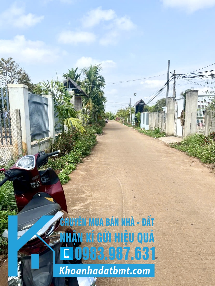 💎 Lô TC 5,2x30m hẻm Tỉnh Lộ 8 , gần cụm Công nghiệp Tân An - Hình ảnh 5