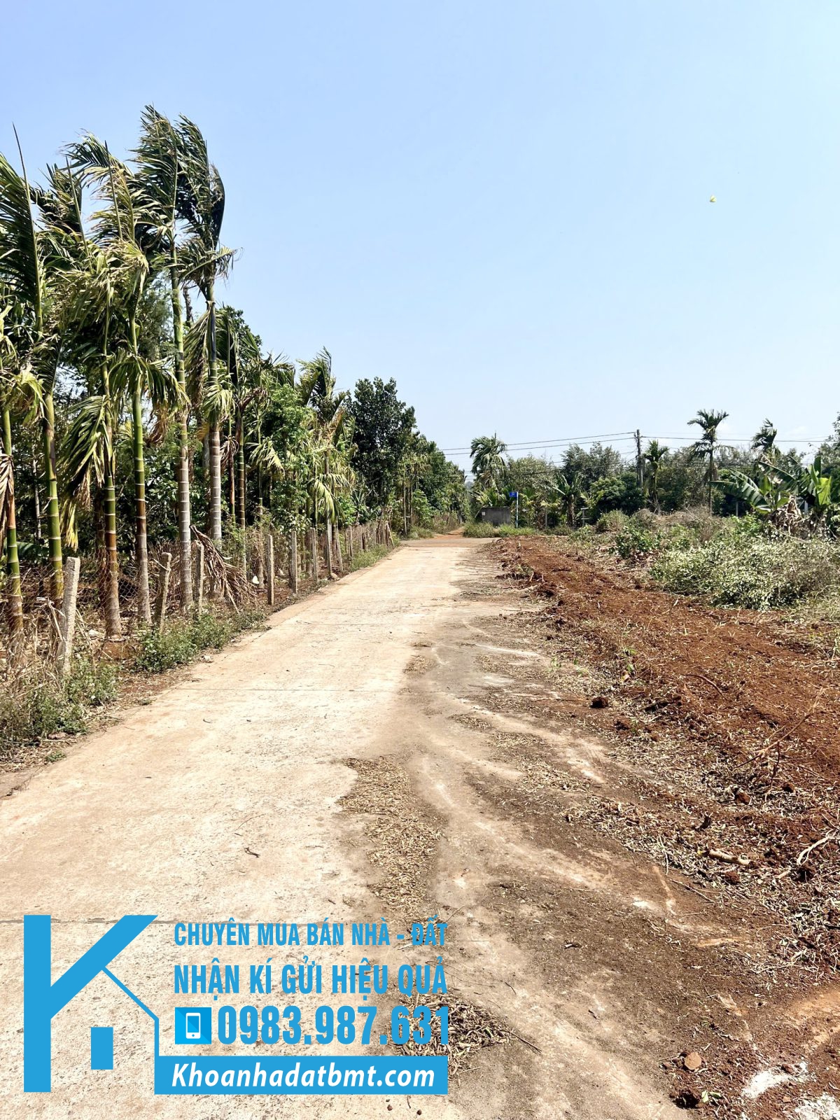 💎 9 Lô TC 5x28m ( 1 lô 9x28m) đường 10KC Hoà Thuận - Đạt Lý - Hình ảnh 2