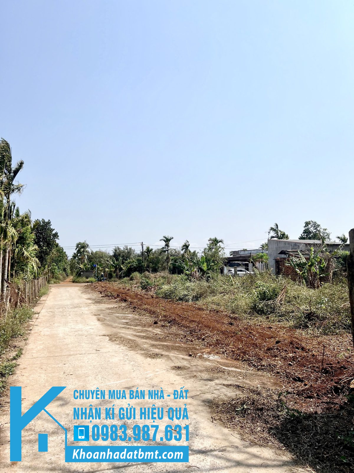 💎 9 Lô TC 5x28m ( 1 lô 9x28m) đường 10KC Hoà Thuận - Đạt Lý - Hình ảnh 4