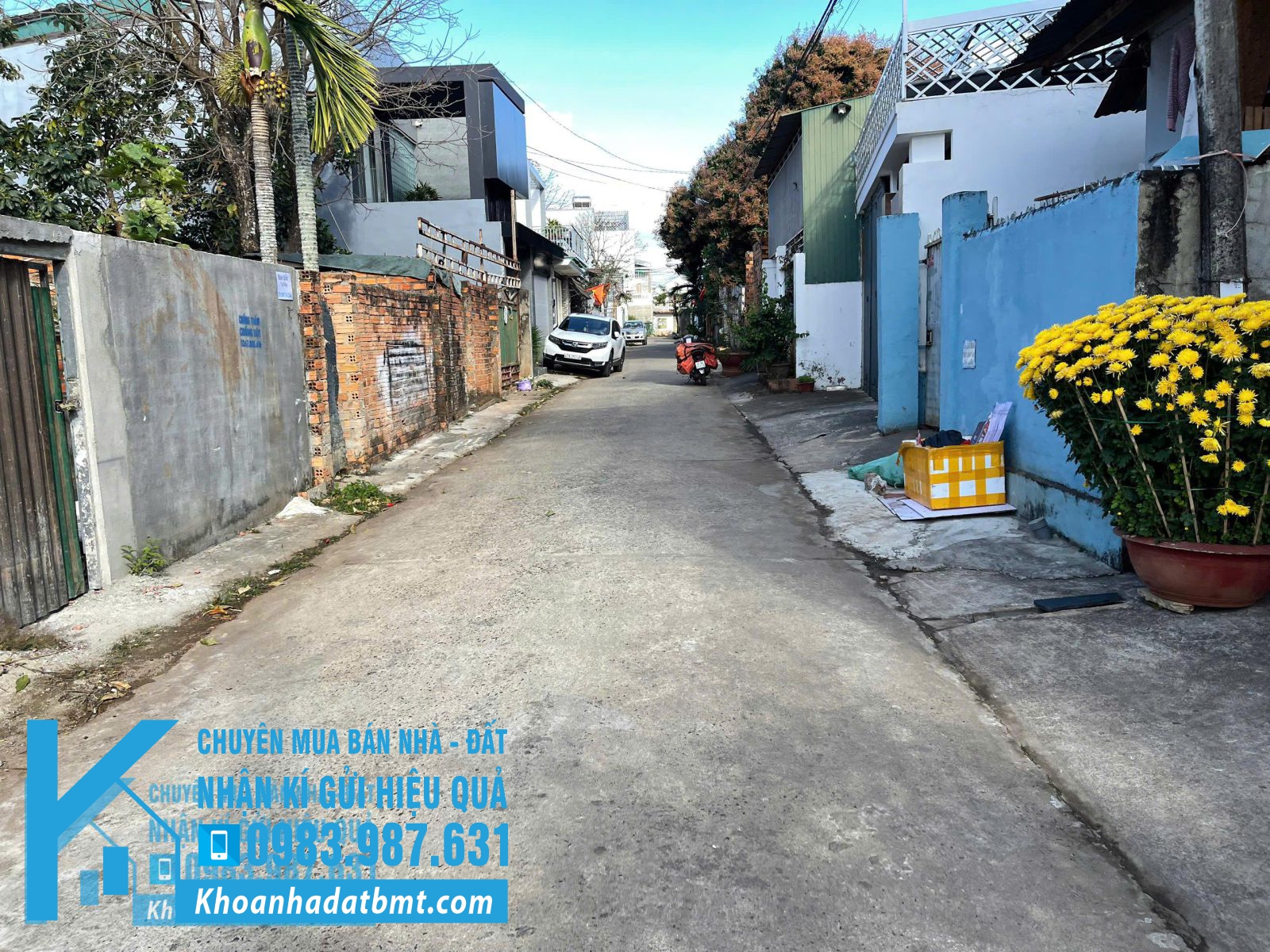 💥Đất TC 5*20m,hẻm 170 Mai Hắc Đế,gần chợ,nhiều lô xung quanh - Hình ảnh 2