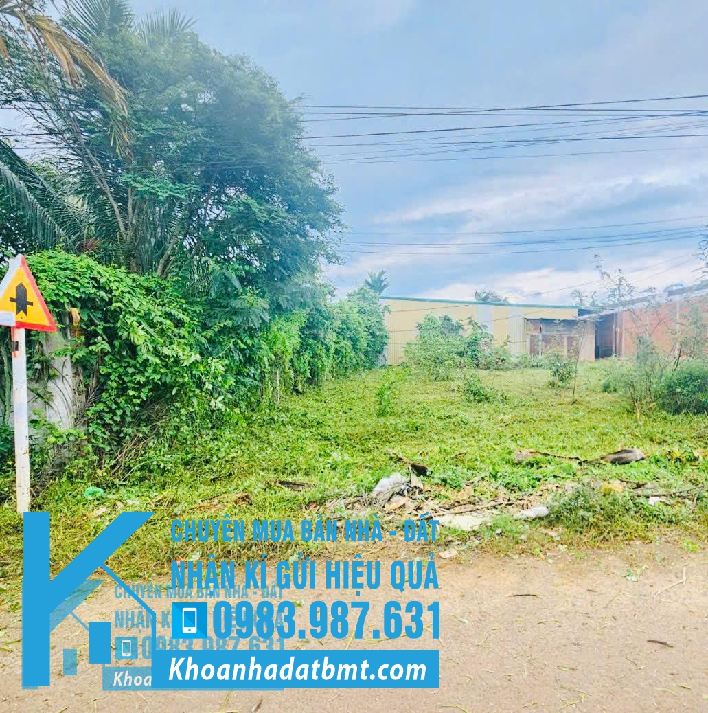 💥Đất TC 5*27m đường N3,Buôn Dù,đối diện chợ EaTu,gần trường Cao bá Quát - Hình ảnh 3