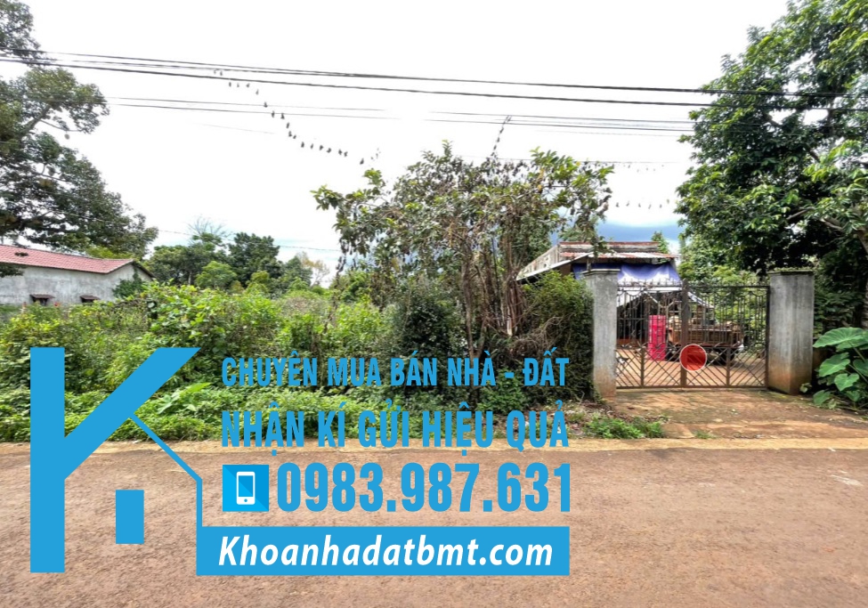 💥Đất TC 7*56m,đường N4 Buôn Ju,đối diện chợ EaTu,Đạt Lí,nhiều lô khác - Hình ảnh 3