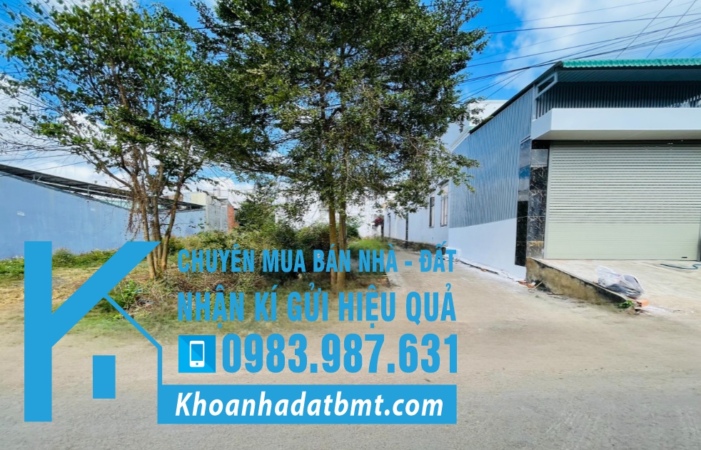 💥Đất 2 mặt tiền TC 6*26m,Đường A4,gần Phạm Ngũ Lão,nhiều lô bên trong. - Hình ảnh 3