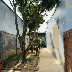 ĐấtTC 4,5*22m,đường A13,Phạm Ngũ Lão,nhiều lô bên trong