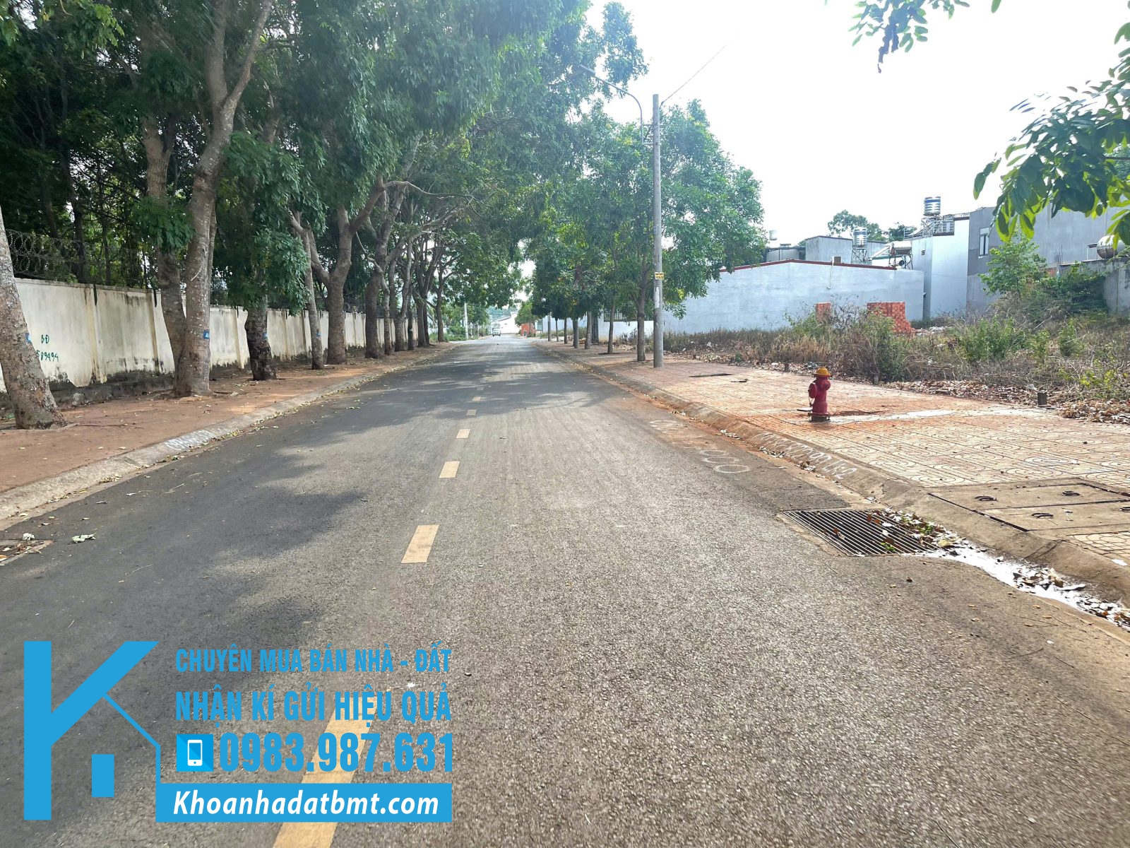 💥Đất Đấu Giá Tân Phong,5*23m,Đường Chính Hữu,gần Phạm Văn Đồng,Nhiều lô khác - Hình ảnh 4