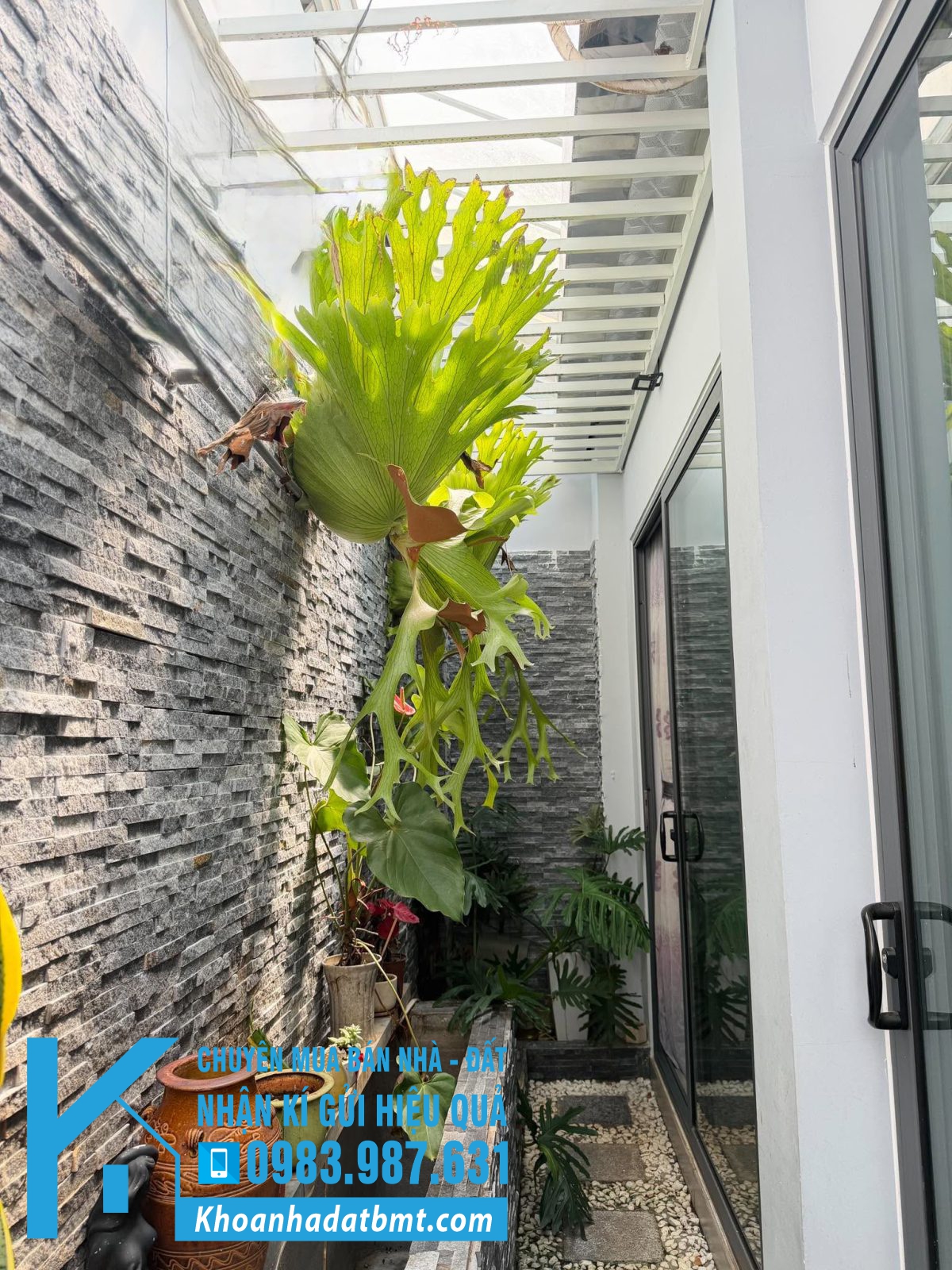 💥Nhà TC Full 12,5*17,27m Đg Tô Hiến Thành,,nhiều lô khác - Hình ảnh 7