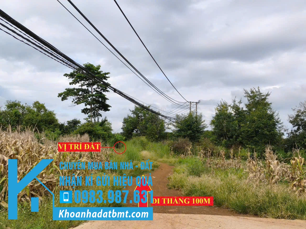 💥Đất TC 9,4*53m,Tổng 501m2 Hẻm Y Ngông nối dài,Phường Buôn Ma Thuột,gần Nguyễn Thị Định - Hình ảnh 5