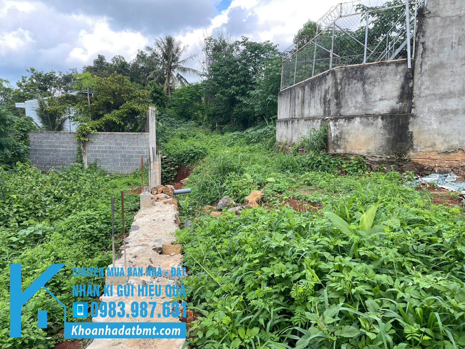 💥Đất Nhà Vườn Tổng 541m2,mặt chính 10m,hẻm 157 Amakhe nhiều lô khác - Hình ảnh 3